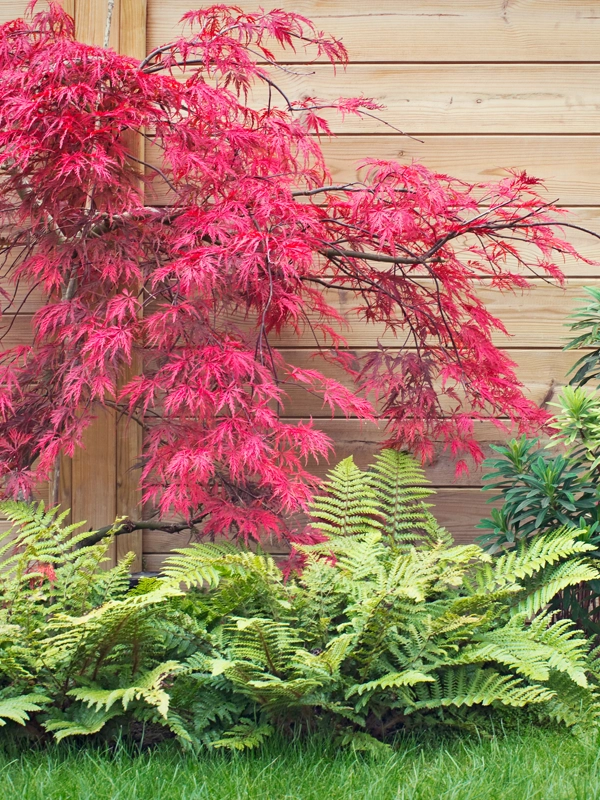 Entretien jardin