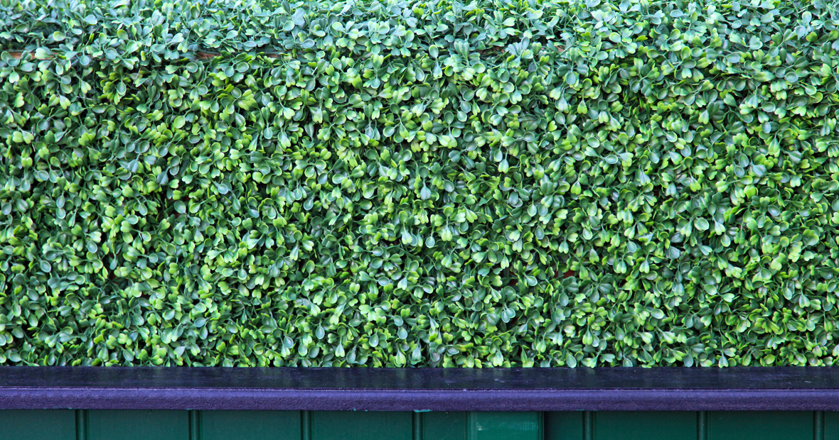 haie artificielle photinia