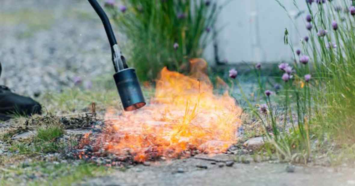 désherbeur thermique